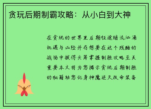 贪玩后期制霸攻略：从小白到大神